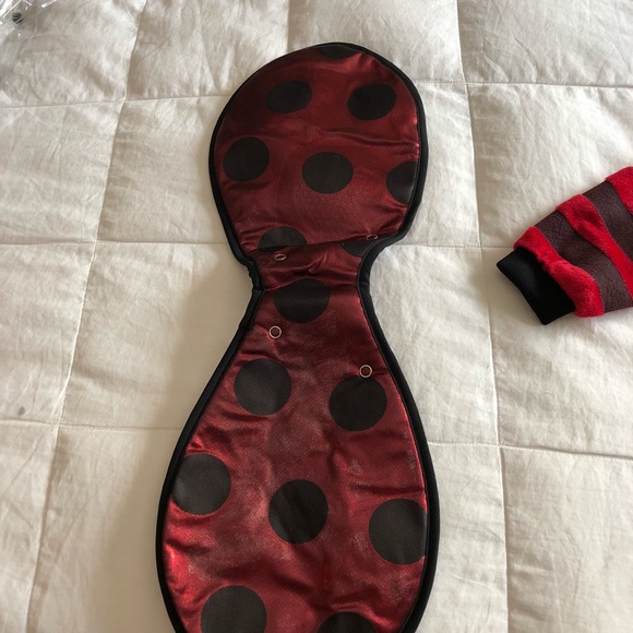 Ladybug costume - Picture 3 of 6